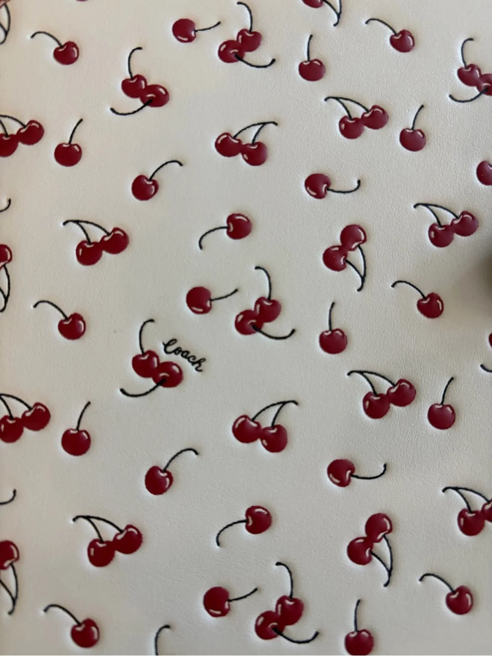Coach White Leather Cherry Print notebook